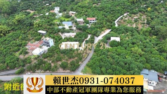 台中農地-10