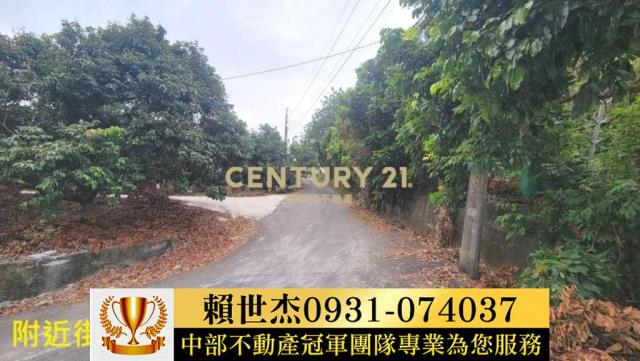 台中農地-11