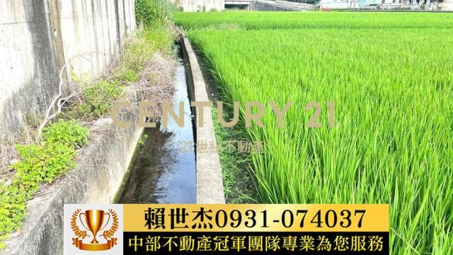 台中農地-4