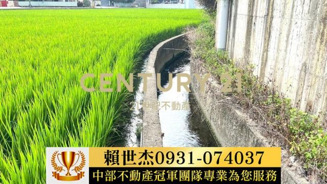 台中農地-5