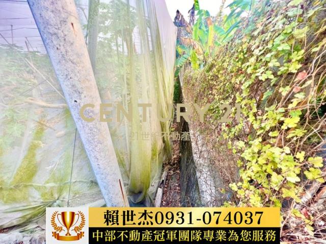 南投農地-2