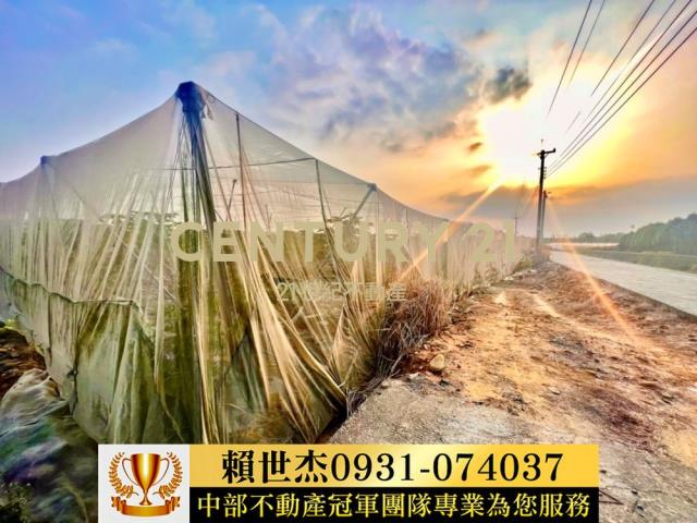 南投農地-3