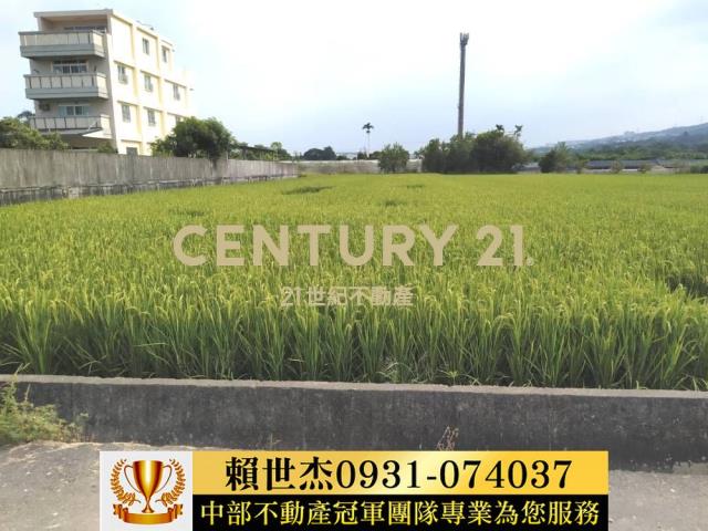 南投農地-14