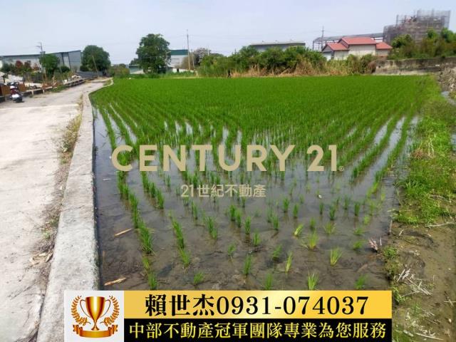 南投農地-10