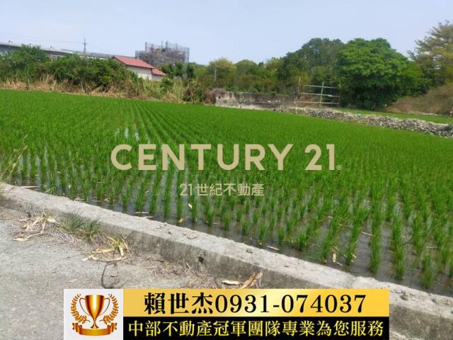 南投農地-11