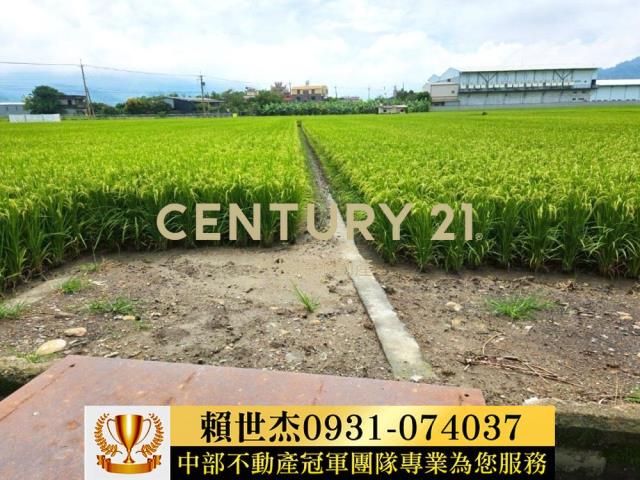 南投草屯農地-3
