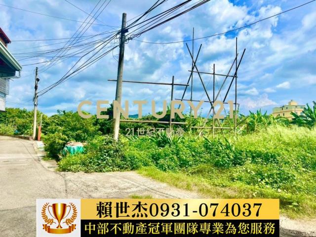 台中農地-10
