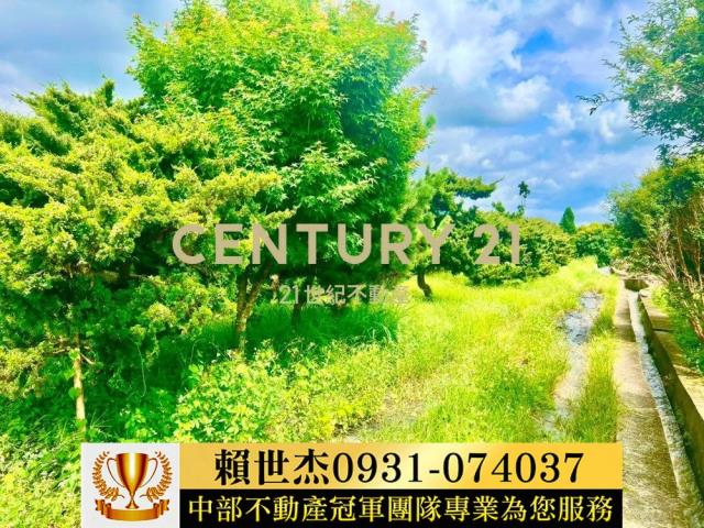 台中農地-12