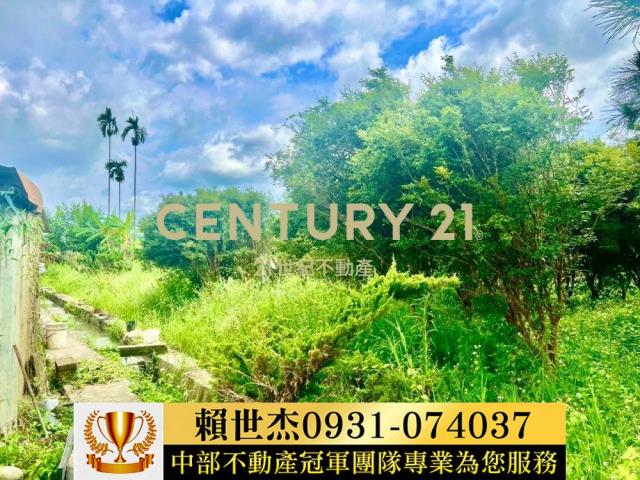 台中農地-2