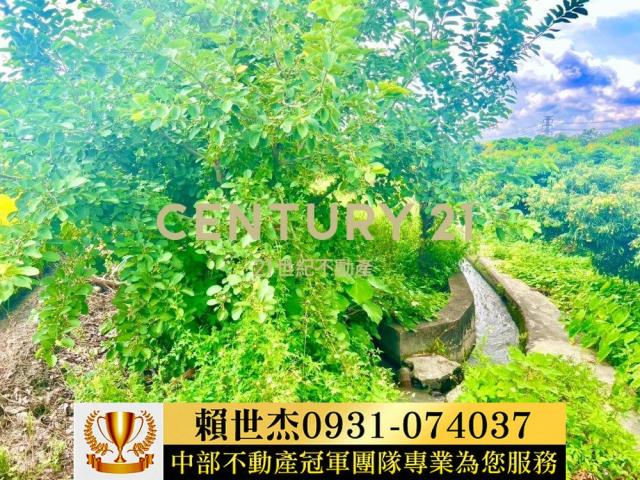 台中農地-3