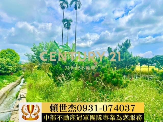 台中農地-4