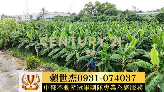 南投草屯農地-12