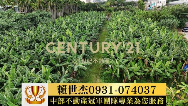 南投草屯農地-13